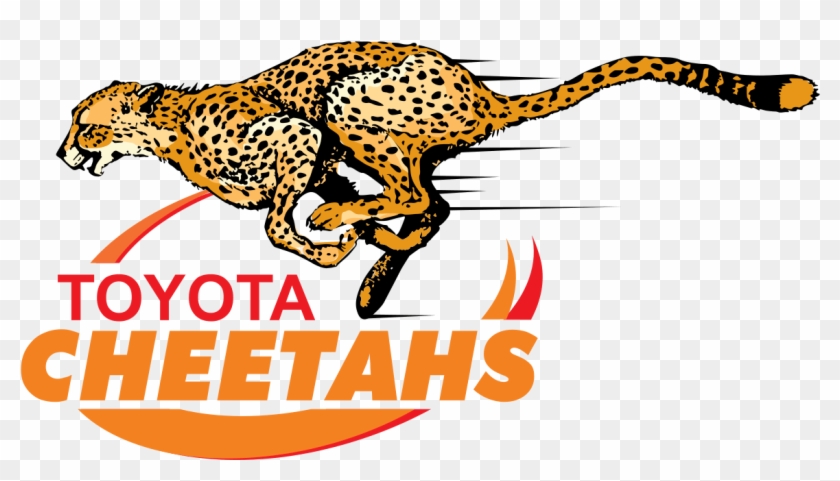 Filelogo Cheetahs Rugby - Cheetahs Rugby #236128