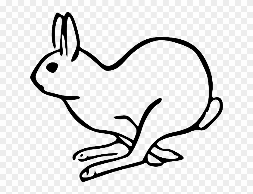 Jack Rabbit Clipart Arctic Hare - Arctic Hare Clipart #236156