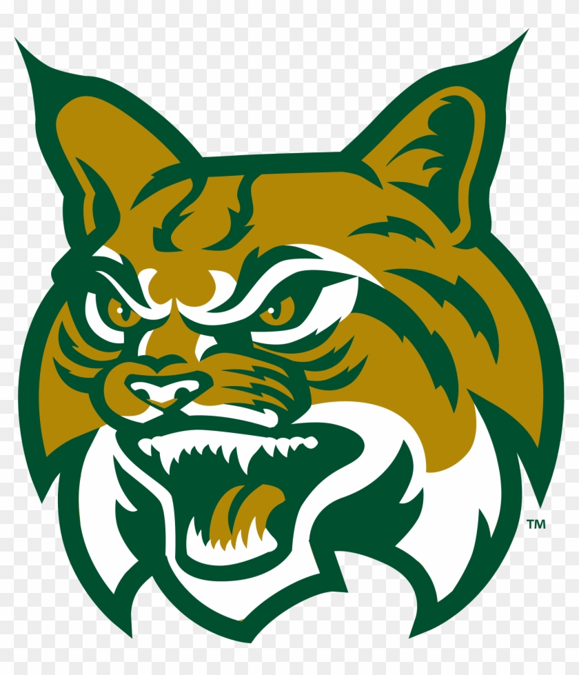 Bobcat Clipart Transparent - East Georgia State College #236178