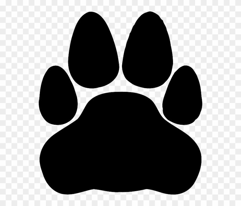 Wolf Paw Png