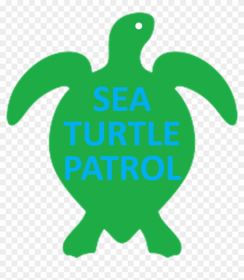 We Hope You Will Try To Attend - Sea Turtle #236293