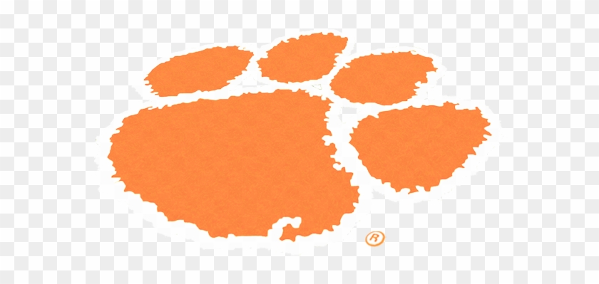 Complete Kit - Clemson University Lawn Logo Stencil Kit - Paint - #236358