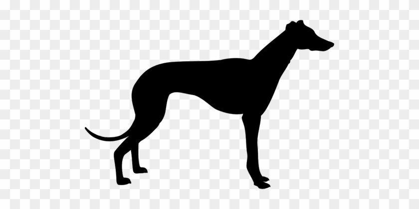 Greyhound Dog Silhouette Vector Clip Art Public Domain - Greyhound Silhouette #236525