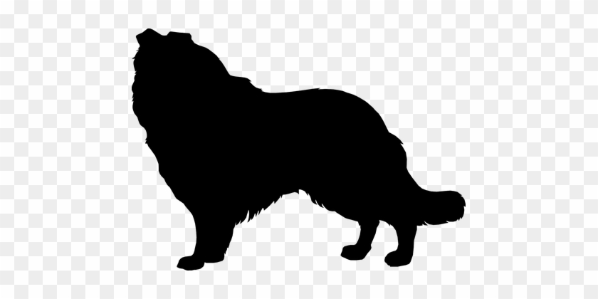 Silhouette Dog Collie Mammal Canine Dog Do - Collie Silhouette Clip Art #236585