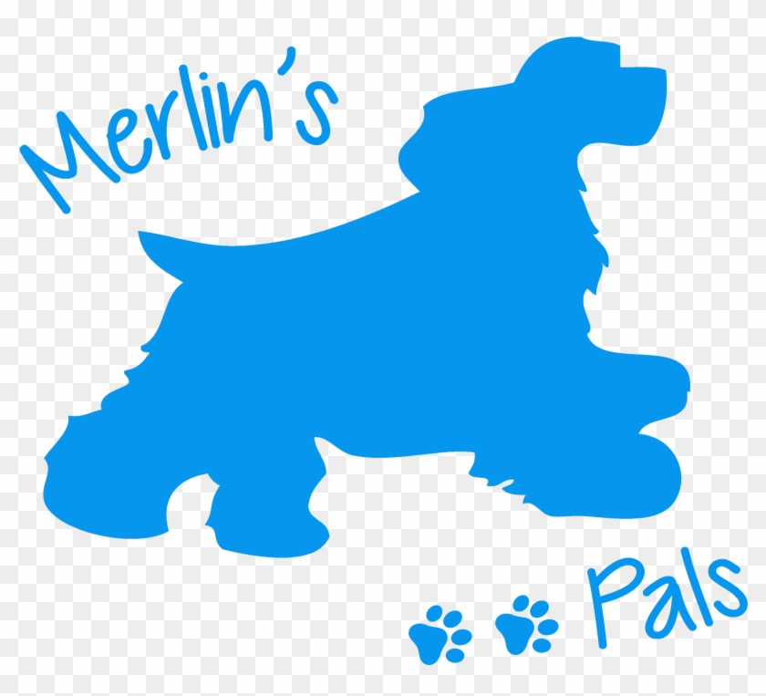 Merlin's Pals/dog Walking And Pet Care Services - Dog Walking #236591