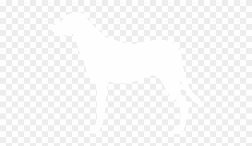 Dog Walking Services - Dog White Icon Png #236673