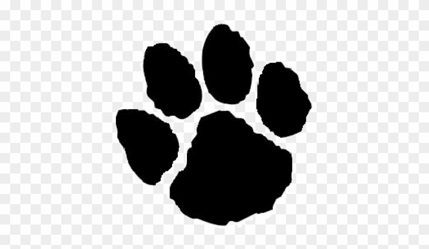 Jaguar Paw Prints - Jaguar Paw Print #236800