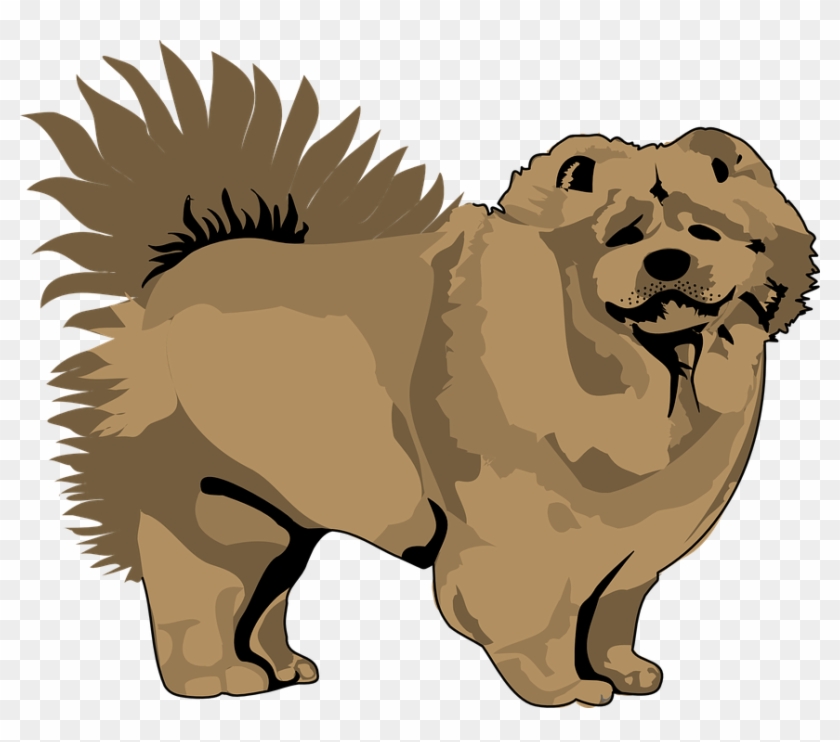 Pet Clipart Animal Fur - Chow Chow Clip Art #236820