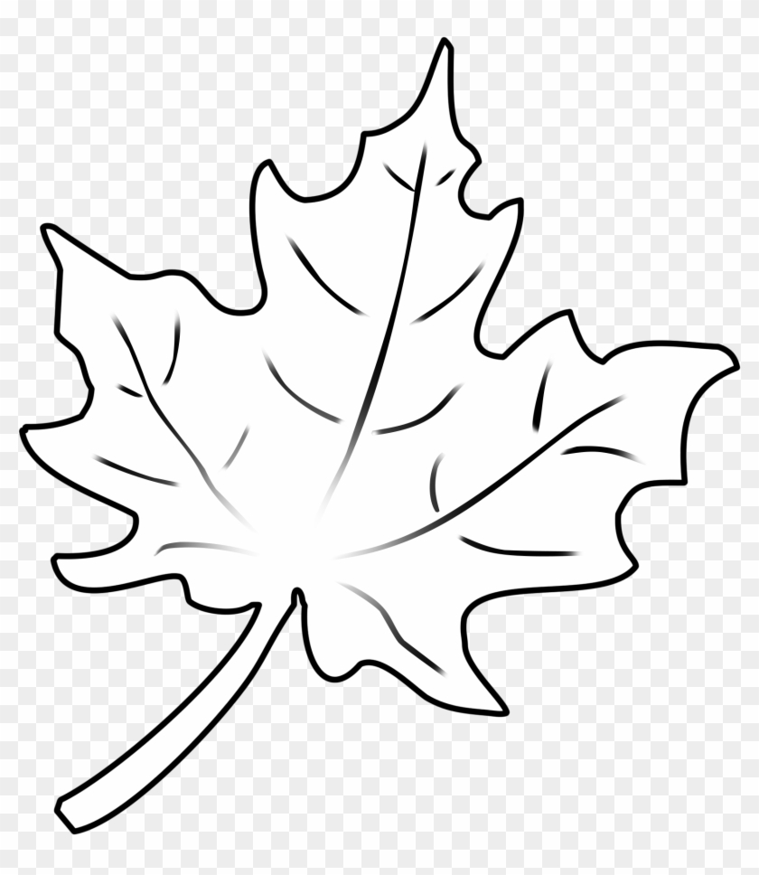 Herbstblaetter Vorlagen - Draw A Leaf #236921