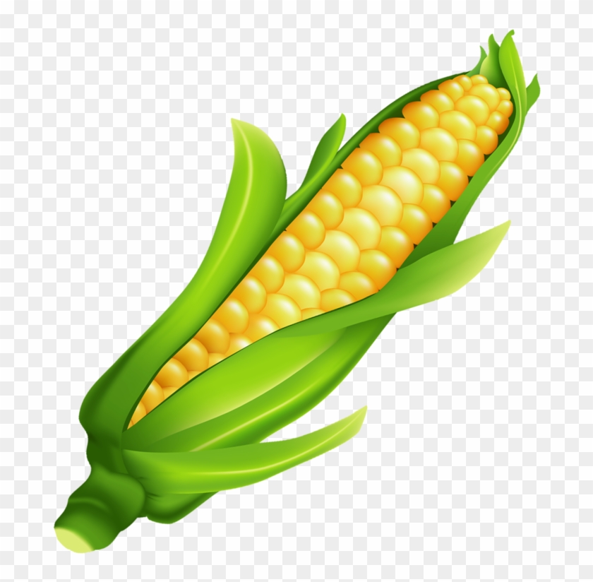 Ear Of Corn Clipart #236975