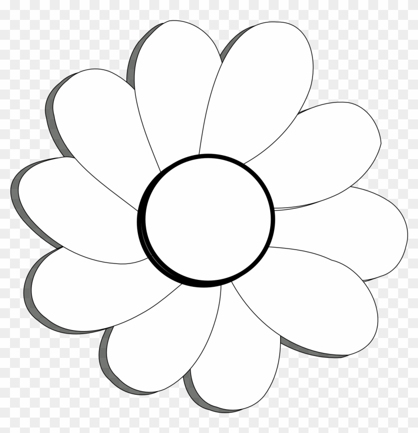 Flower Black And White Hd Background Wallpaper 18 Hd - Small White Flower Drawing #237118