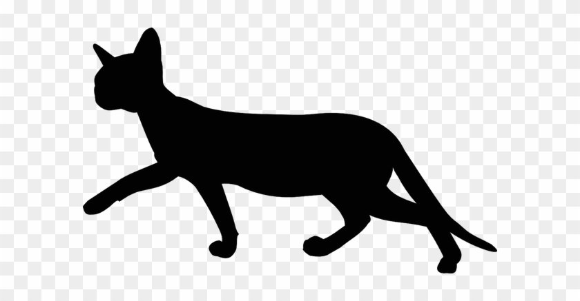 Free Digital Walking Cat Silhouette - Cat Walking Transparent Background #237164