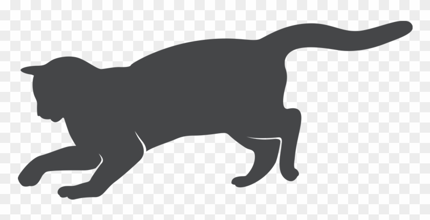 1150489 Medium - 1150489 Medium #237205