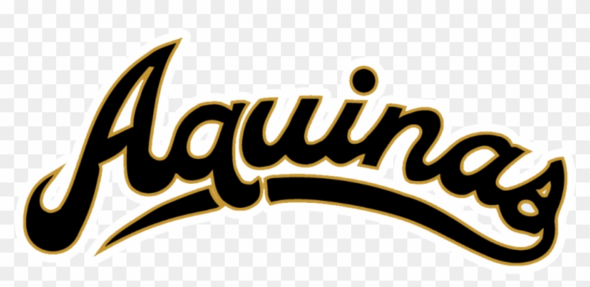 Saint Thomas Aquinas Knights - Saint Thomas Aquinas Knights #1507410