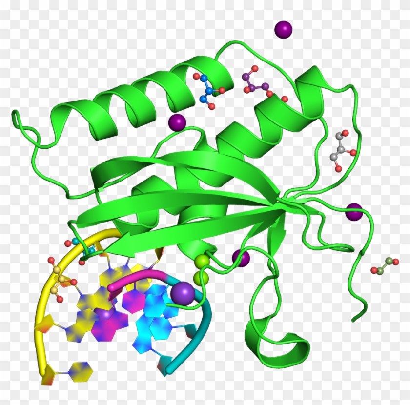 Protein Data Bank @pdbeurope - Protein Data Bank @pdbeurope #1507528