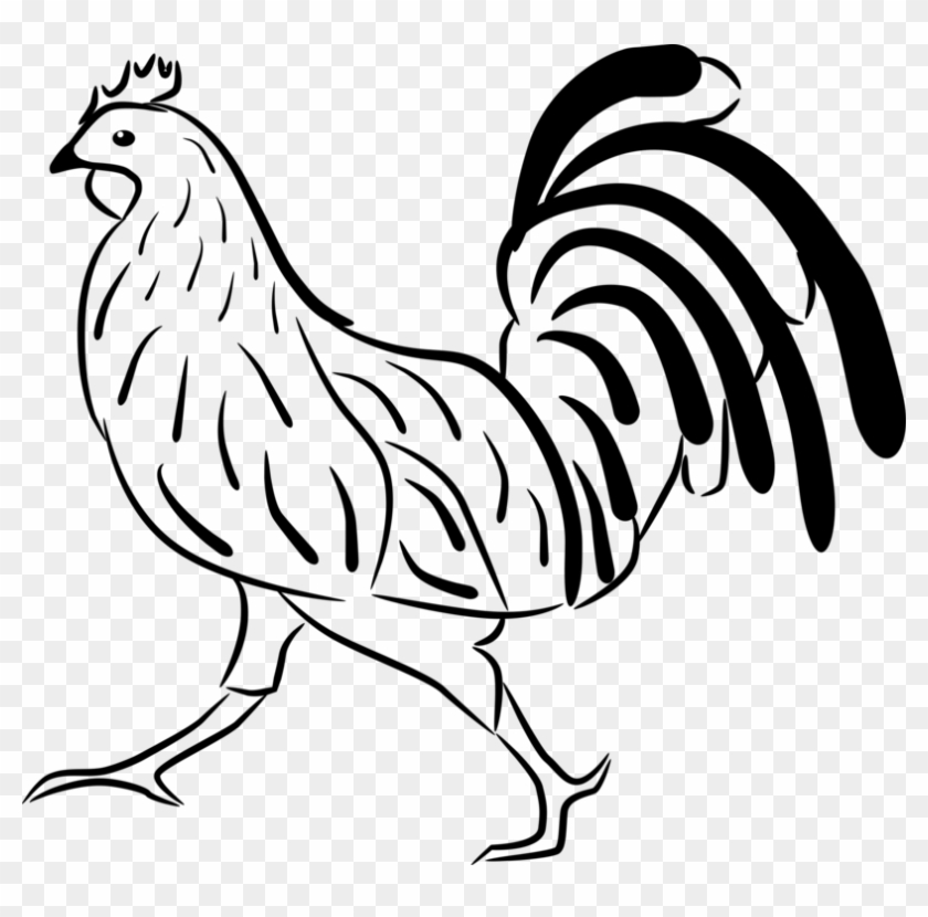 Silkie Cochin Chicken Brahma Chicken Rooster Douchegordijn - Silkie Cochin Chicken Brahma Chicken Rooster Douchegordijn #1507557