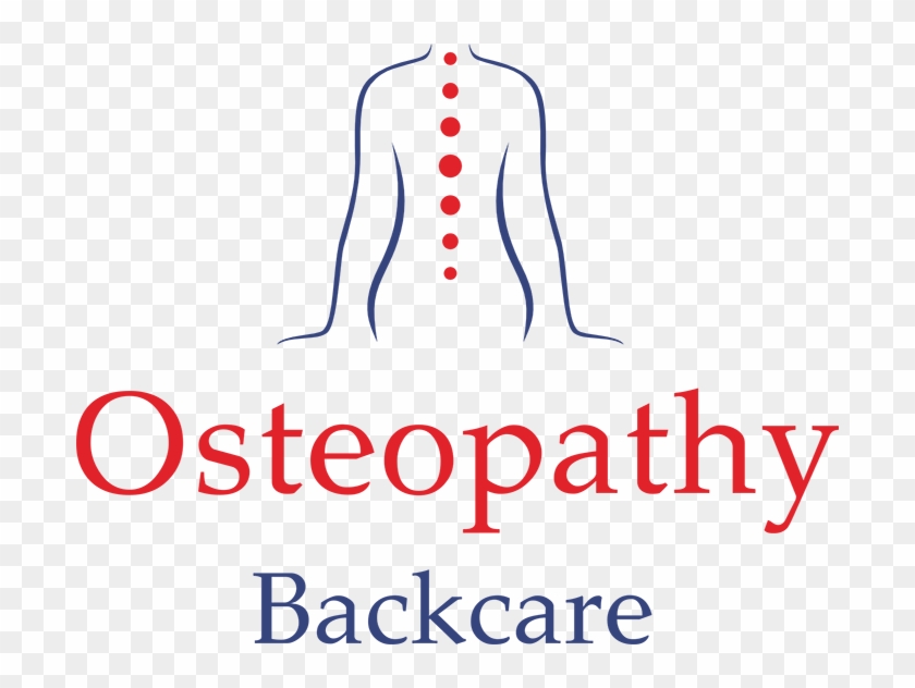 Transparent Spine Clipart - Transparent Spine Clipart #1507641