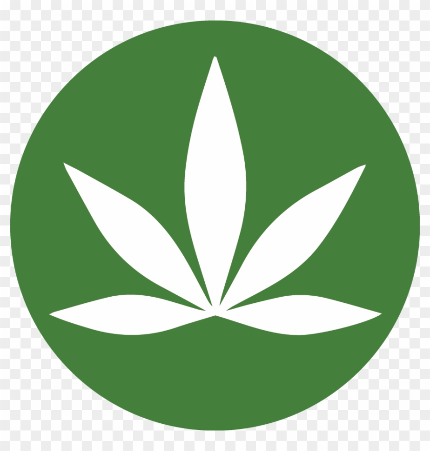 Marijuana For Weight Loss Cannabis, Weed, Medical, - Marijuana For Weight Loss Cannabis, Weed, Medical, #1508282