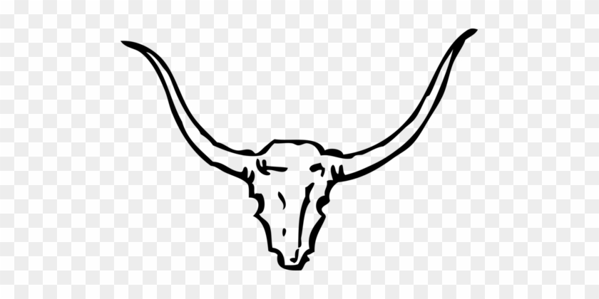 English Longhorn Bull Texas Longhorn Bison - English Longhorn Bull Texas Longhorn Bison #1508780