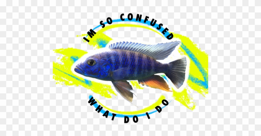 Clip Art Electric Blue Tumblr Lucifersbible - Clip Art Electric Blue Tumblr Lucifersbible #1508813