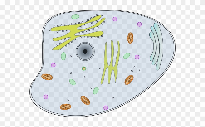 Cell Clip Art - Cell Clip Art #1508829