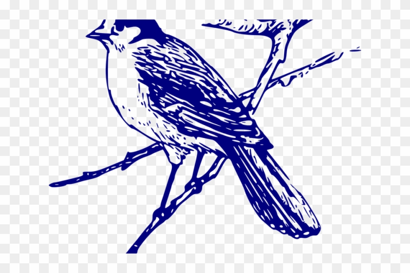 Blue Jay Clipart Vector - Blue Jay Clipart Vector #1509102