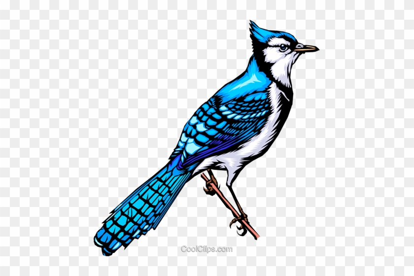 Bluebird Royalty Free Vector Clip Art Illustration - Bluebird Royalty Free Vector Clip Art Illustration #1509103