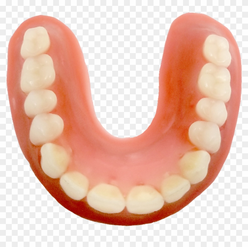 Pre-waxed Dentures - Pre-waxed Dentures #1509447