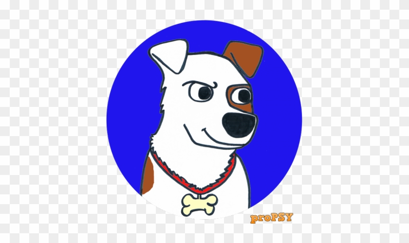 Jack Russell Terrier - Jack Russell Terrier #1509849
