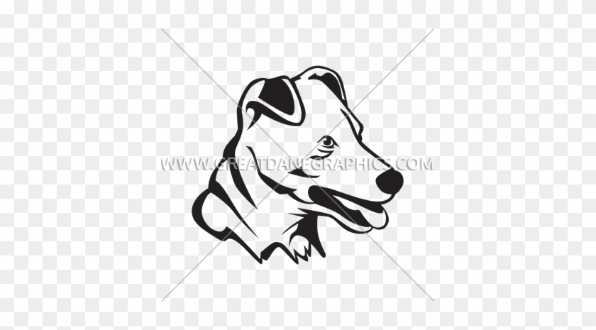 Jack Russell - Jack Russell #1509857