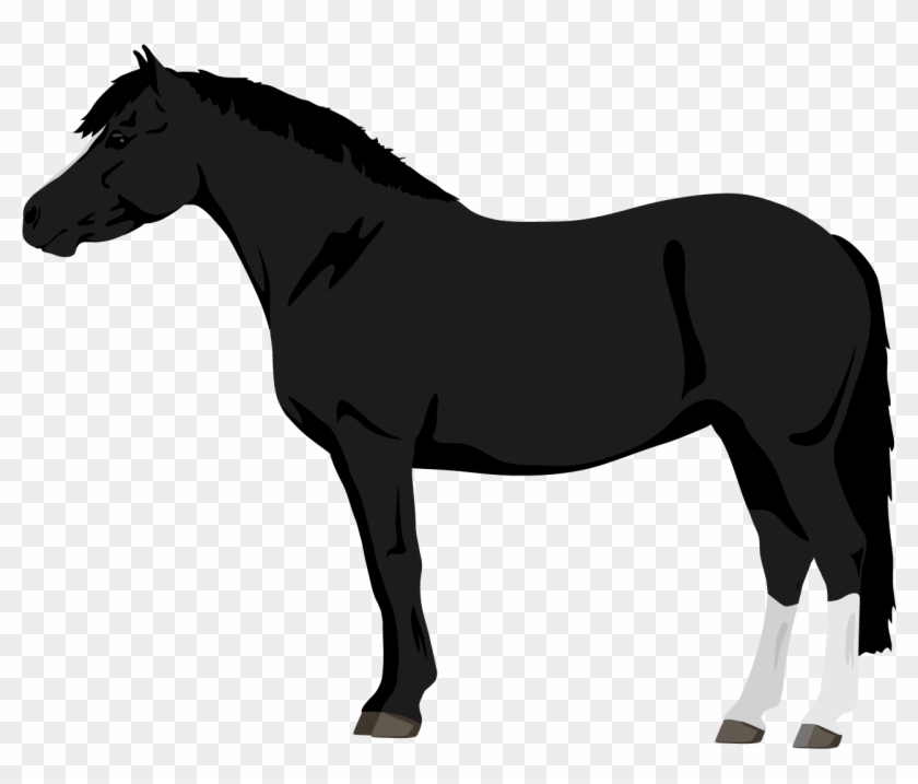 Clip Art Black Horse With Blue Eyes - Clip Art Black Horse With Blue Eyes #1509998