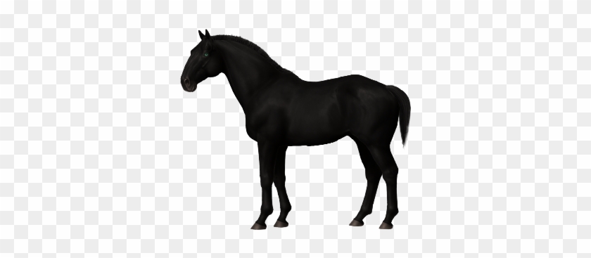 Clip Art Black Horse With Blue Eyes - Clip Art Black Horse With Blue Eyes #1509999