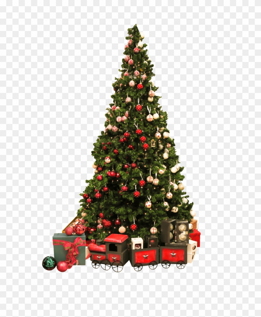 Medium Size Of Christmas Tree - Medium Size Of Christmas Tree #1510014