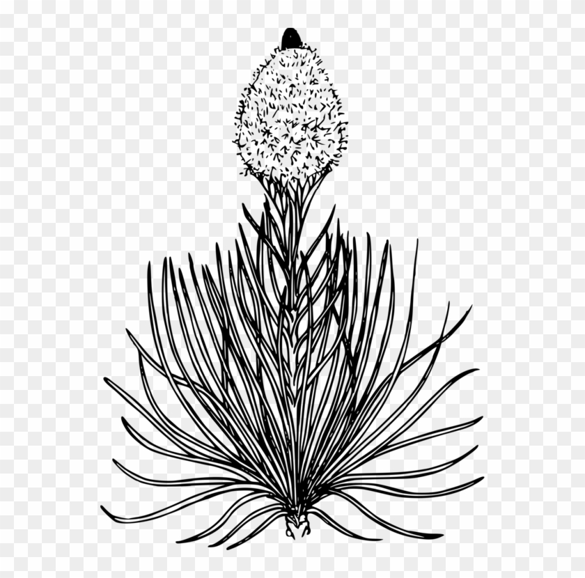 The Oregon Trail Coloring Book Colouring Pages Drawing - The Oregon Trail Coloring Book Colouring Pages Drawing #1510651