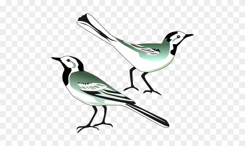 Mockingbird Clipart Burung - Mockingbird Clipart Burung #1510836
