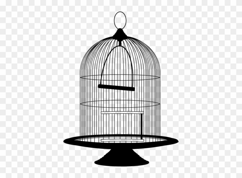 Bird Cage - Bird Cage #1510842