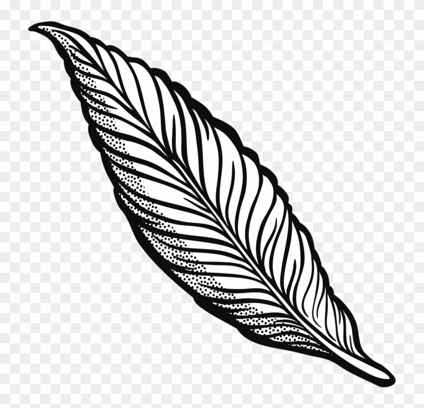 Feather Drawing Line Art Quill Cartoon - Feather Drawing Line Art Quill Cartoon #1511187