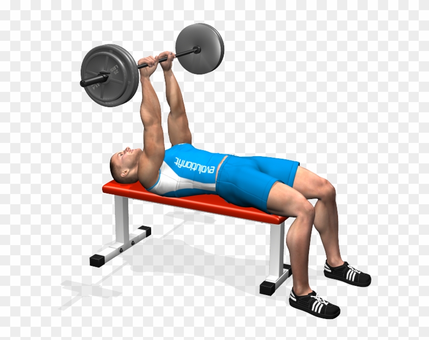 Clip Art Lying Barbell Involved Muscles - Clip Art Lying Barbell Involved Muscles #1511550