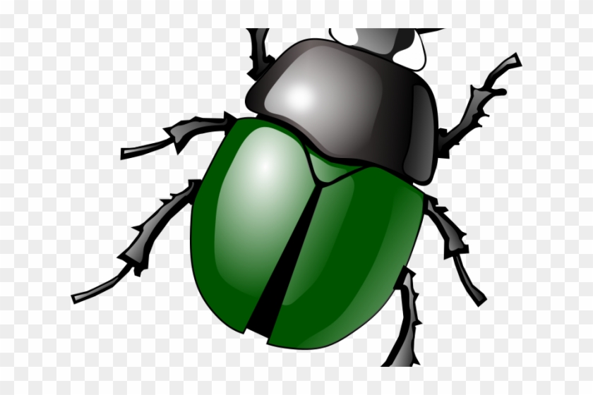 Beatle Clipart Stink Bug - Beatle Clipart Stink Bug #1511669