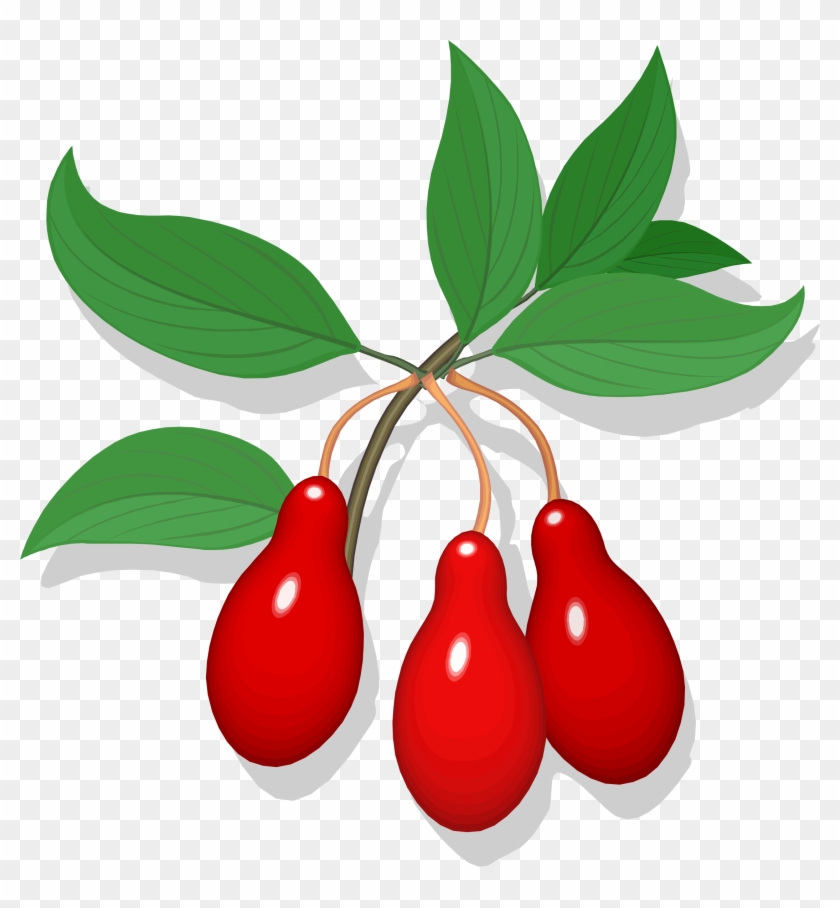 Cherry Line Art Fruit Auglis Drawing - Cherry Line Art Fruit Auglis Drawing #1511707