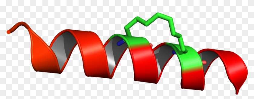 Clipart Paper Stapled - Clipart Paper Stapled #1511806