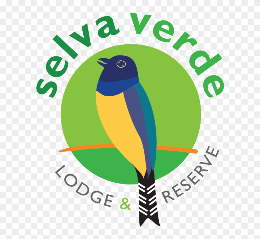 Founded By Giovanna Holbrook To Protect The Biodiversity - Founded By Giovanna Holbrook To Protect The Biodiversity #1512116