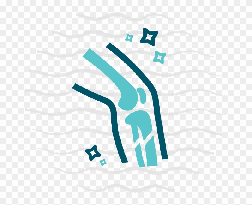 A Sampling Of The Inpatient And Outpatient Orthopedic - A Sampling Of The Inpatient And Outpatient Orthopedic #1513047