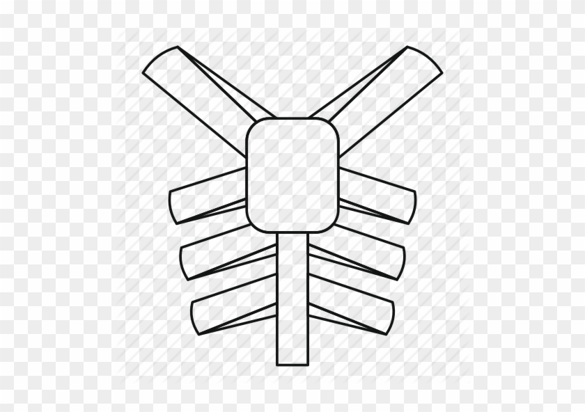 Orthopedics Prosthetics By Ivan - Orthopedics Prosthetics By Ivan #1513067