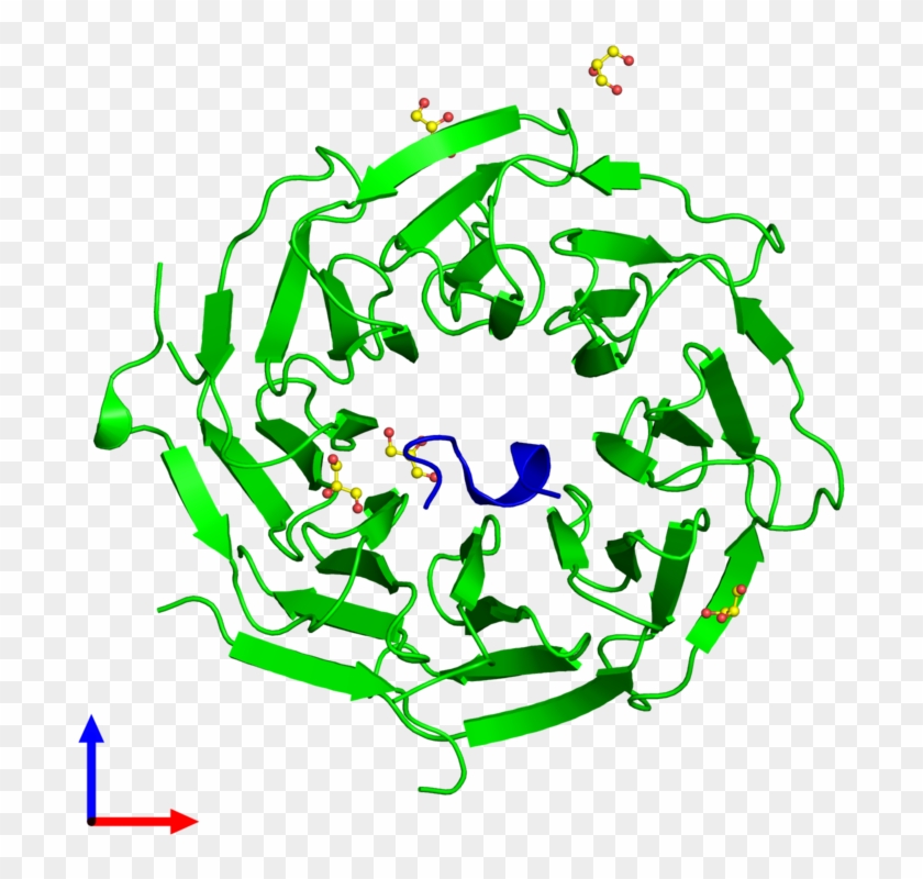 Dimeric Assembly 2 Of Pdb Entry 5naf Coloured By Chemically - Dimeric Assembly 2 Of Pdb Entry 5naf Coloured By Chemically #1513475