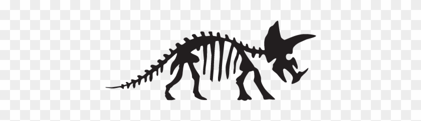 Triceratops Dinosaur Fossil Wall Quotes™ Wall Art Decal - Triceratops Dinosaur Fossil Wall Quotes™ Wall Art Decal #1513482