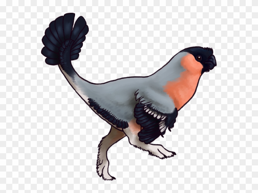 Ovibullfinch By Silenced-dreams On Deviantart Feathered - Ovibullfinch By Silenced-dreams On Deviantart Feathered #1513503