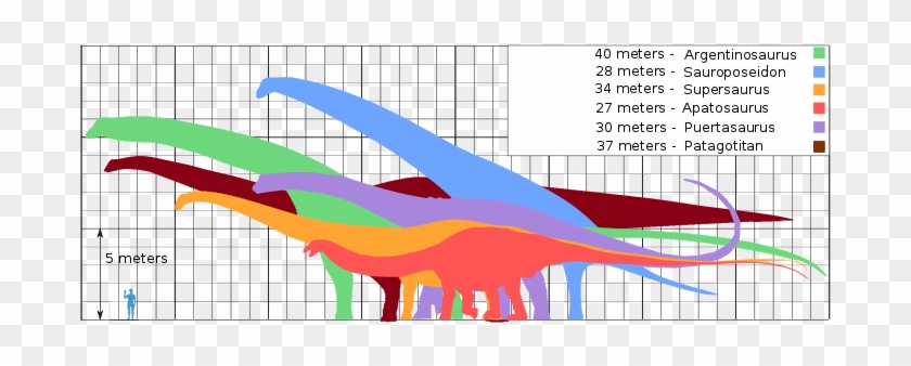 Discovery Of Biggest Dinosaur Ever Hailed By Scientists - Discovery Of Biggest Dinosaur Ever Hailed By Scientists #1513507