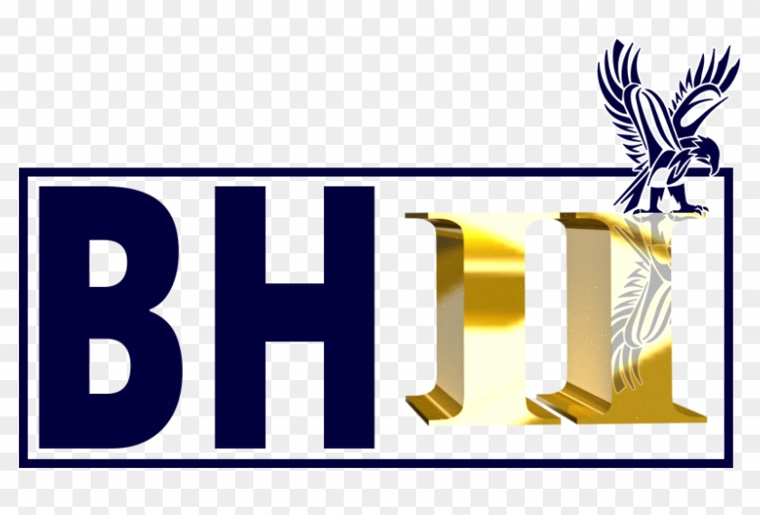 Hawk Security Ii Inc - Hawk Security Ii Inc #1513964