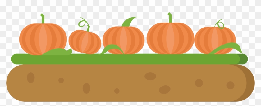 Pumpkin Calabaza Adobe Illustrator - Pumpkin Calabaza Adobe Illustrator #1514009